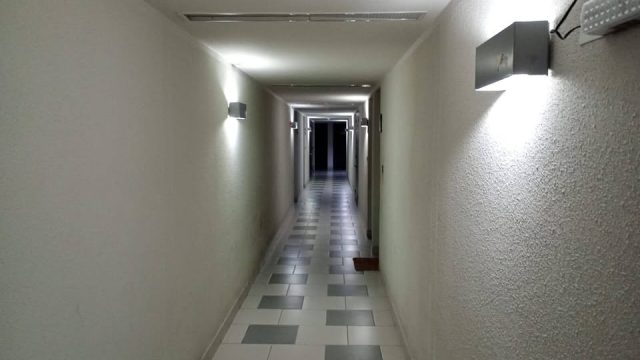 473819926_10234909885345670_1728790296261555176_n